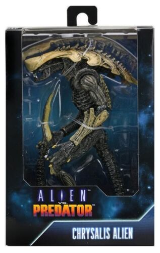 Figurine ALIEN vs PREDATOR : Chrysalis Alien