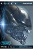 Alien plaque murale 3D Warrior Alien Head Trophy Open Mouth Version 58 cm - PRIME ONE STUDIOS