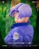 TRUNKS HQS DIORAMAX 1/6 by TSUME