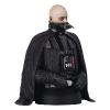 Star Wars Episode VI buste 1/6 Darth Vader (unhelmeted) 15 cm - GENTLE GIANT