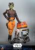Star Wars: Ahsoka figurine 1/6 Hera Syndulla 28 cm - HOT TOYS