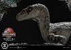 Jurassic Park III statuette Legacy Museum Collection 1/6 Velociraptor Female Bonus Version 44 cm - PRIME 1