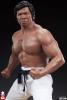 Bolo Yeung statuette 1/3 Bolo Yeung: Jeet Kune Do Tribute 58 cm - PCS COLLECTIBLE