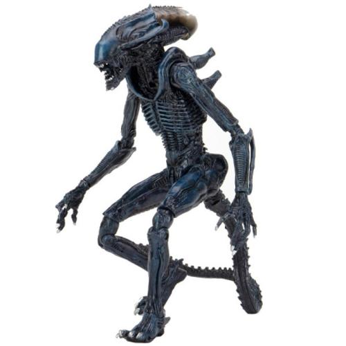 Figurine ALIEN vs PREDATOR Arachnoid Alien