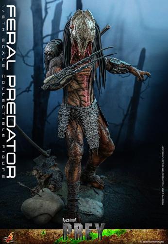 Prey figurine 1/6 Feral Predator 37 cm - HOT TOYS