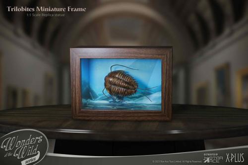 Wonders of the Wild Series statuette 1/1 Trilobites Miniature Frame 15 cm - STAR ACE