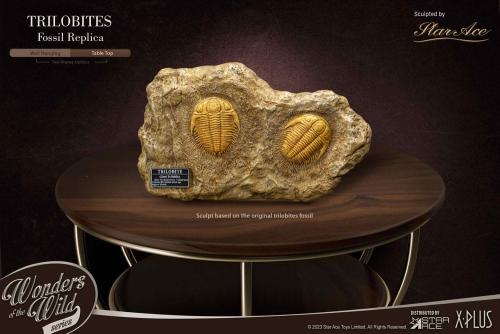 Wonders of the Wild Series statuette 1/1 Trilobites Miniature Frame & Fossil 15 cm - STAR ACE